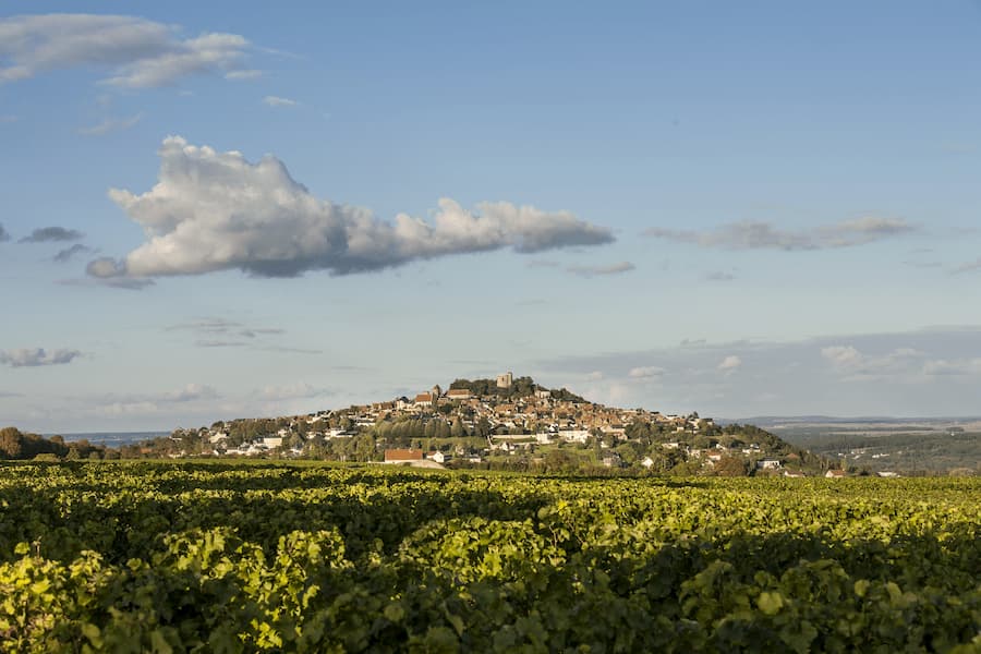 Sancerre. Sauvignon blanc